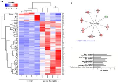 The Effect of Atopic Dermatitis and Diet on the Skin Transcriptome in Staffordshire Bull Terriers